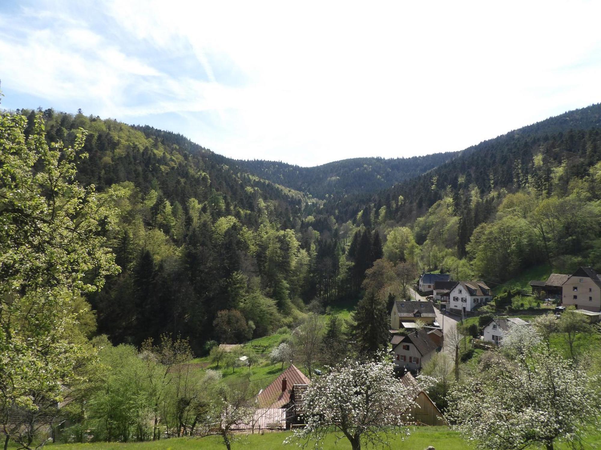A Au Calme Murbach